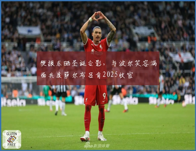 樊振东晒圣诞合影，与波尔笑容满面共度萨尔布吕肯2025收官