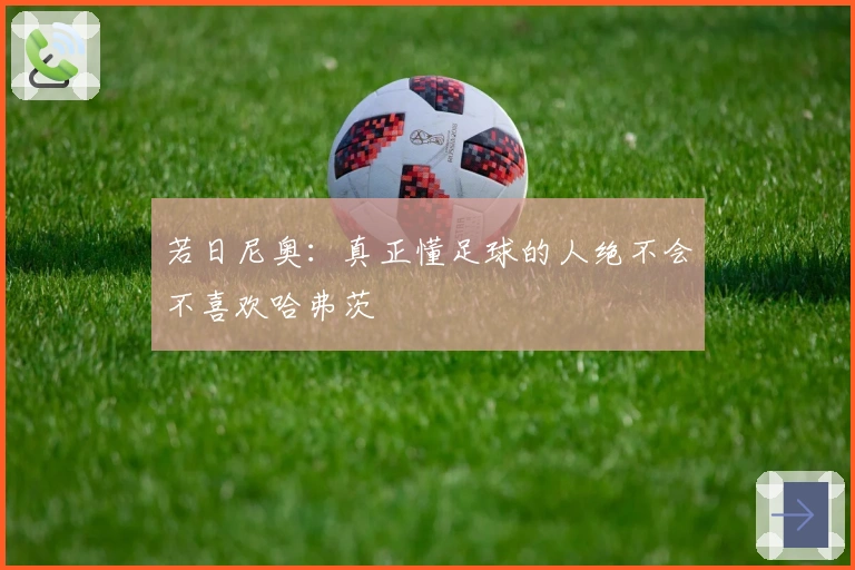 若日尼奥：真正懂足球的人绝不会不喜欢哈弗茨