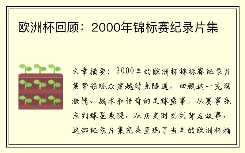 欧洲杯回顾：2000年锦标赛纪录片集